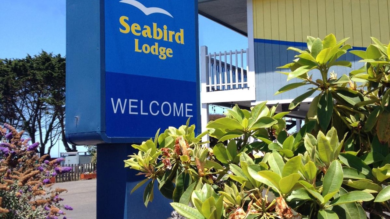 Photo of Outdoor in Fort Bragg