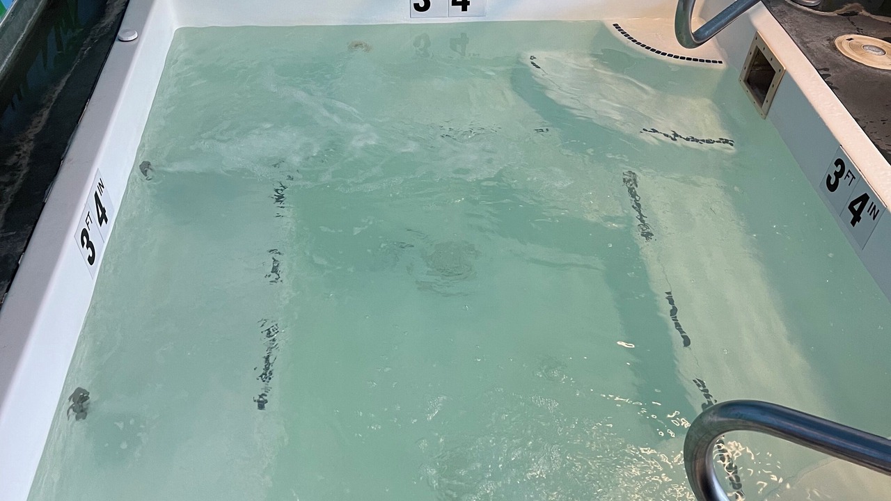 Photo of Others in Fort Bragg