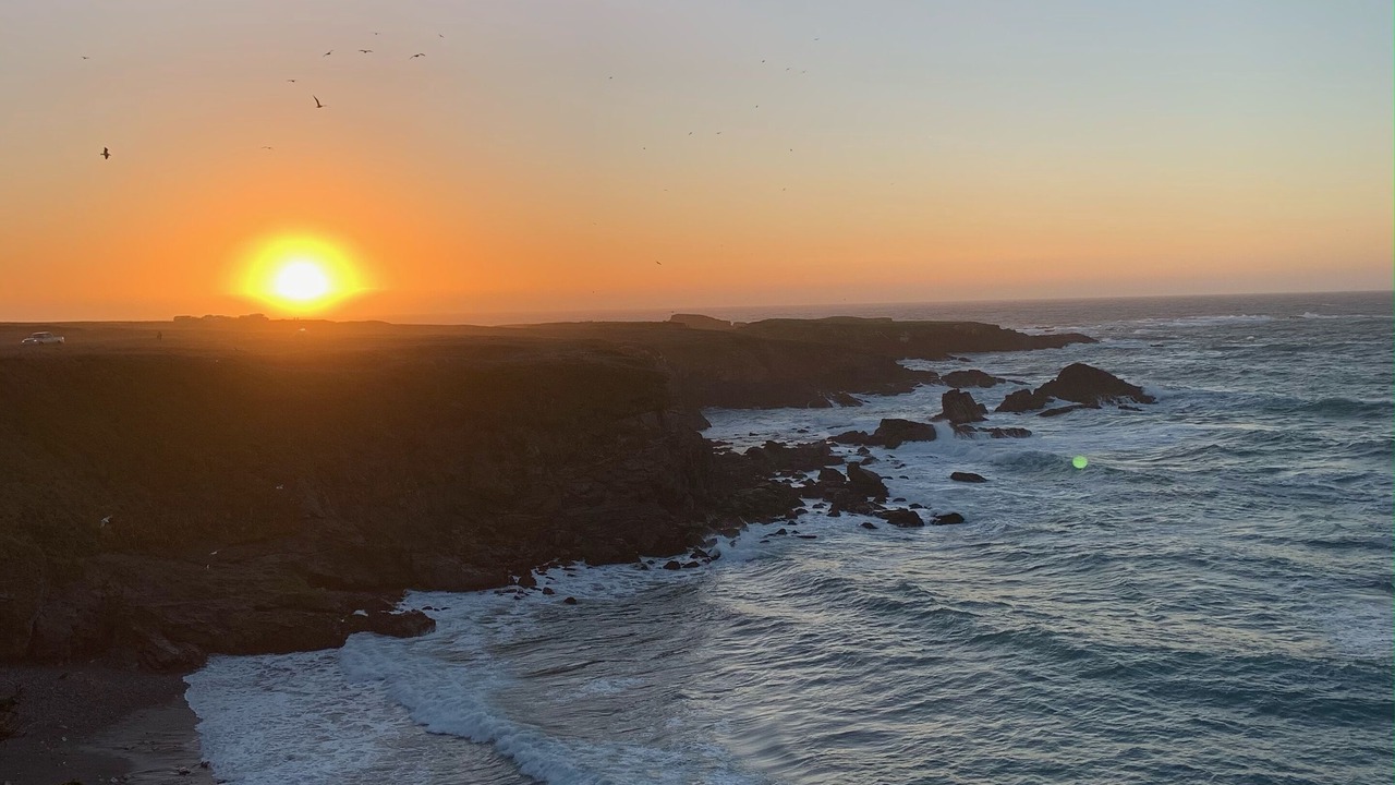 Photo of Outdoor in Fort Bragg