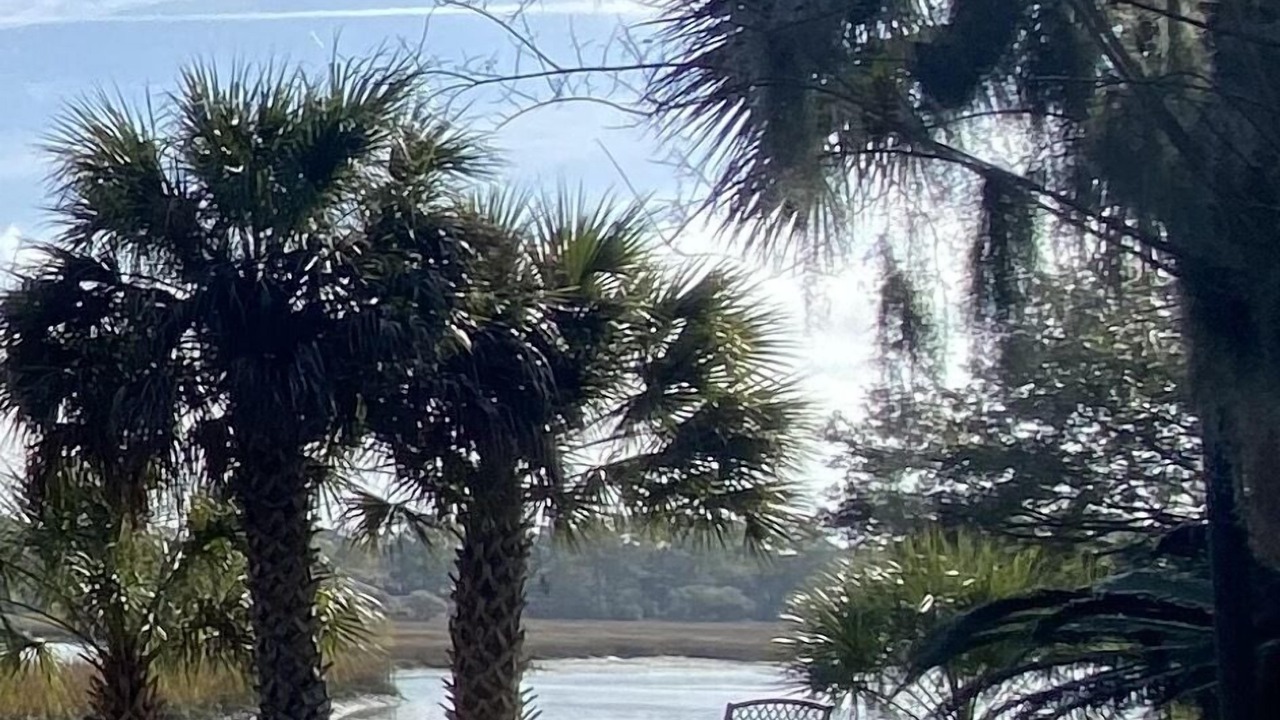 Photo of Outdoor in Polk Village