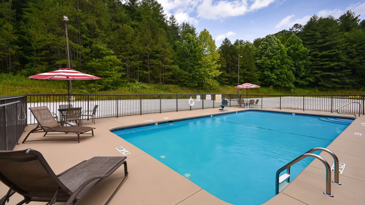 Photo of Outdoor in Pisgah Forest