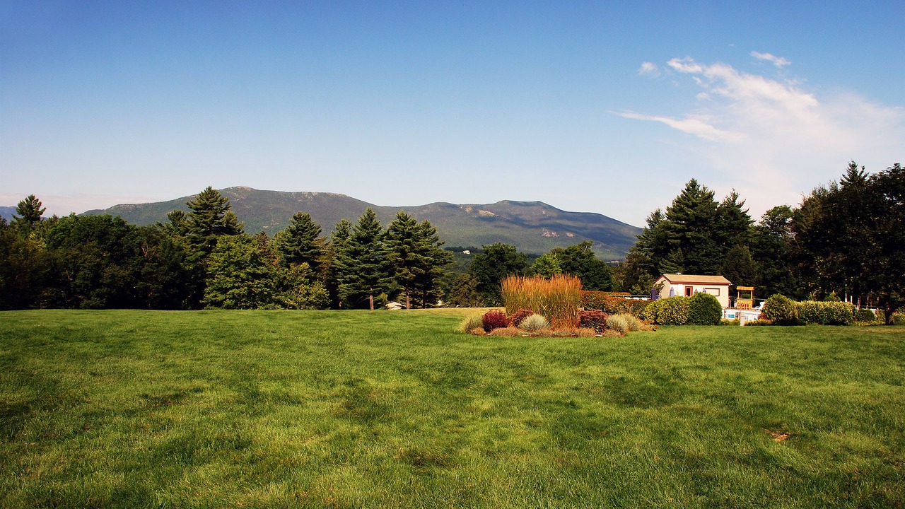 Photo of Others in North Conway