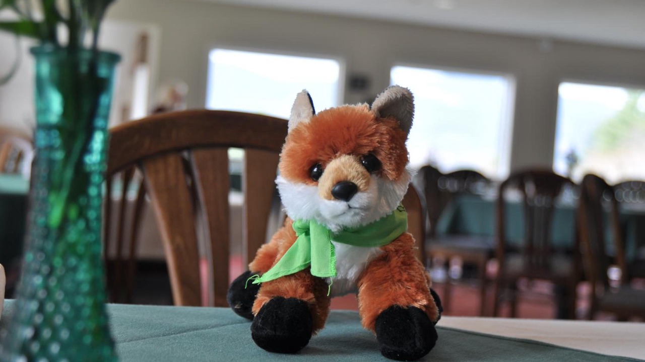 Photo of Others in North Conway