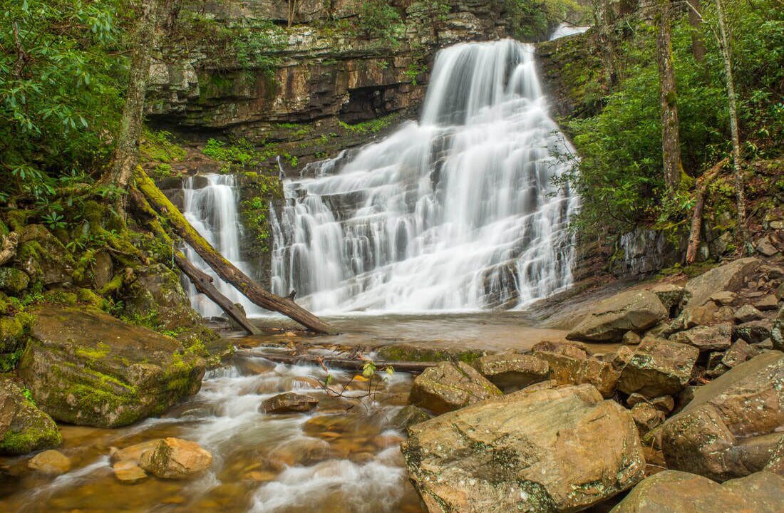 Photo of Others in Greeneville