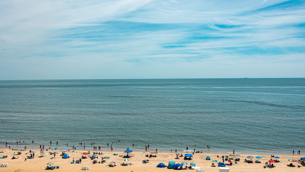 Photo of Others in Northeast Virginia Beach