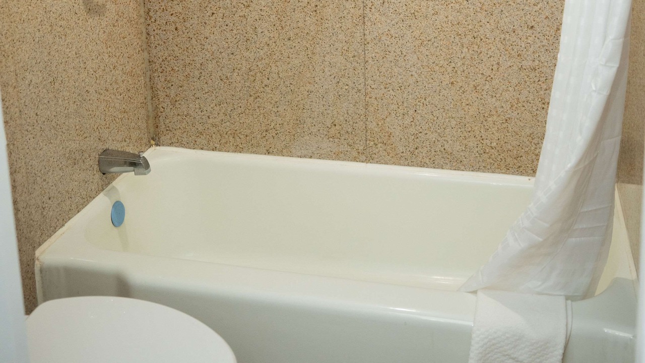 Photo of Others in Chinchilla