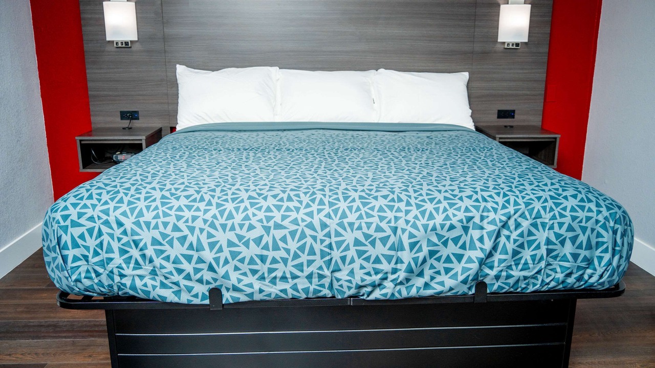 Photo of Others in Chinchilla