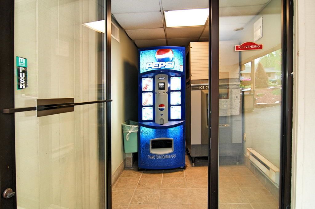 Photo of Others in Chinchilla