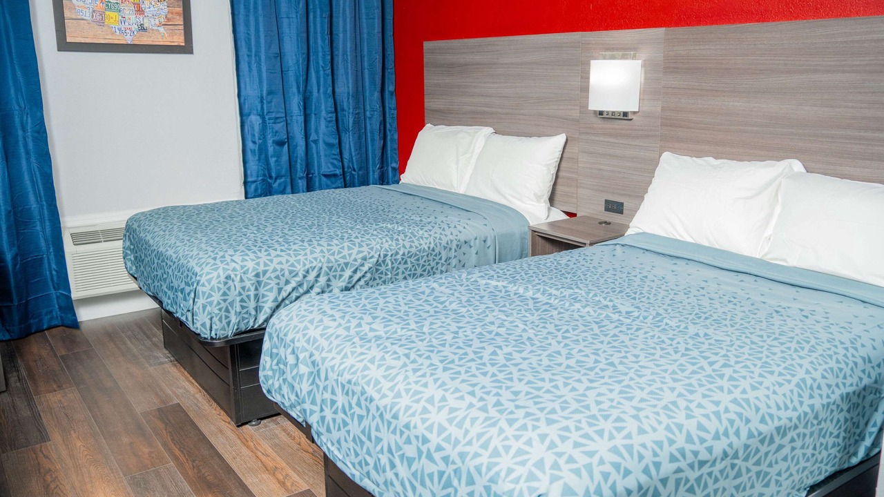 Photo of Others in Chinchilla