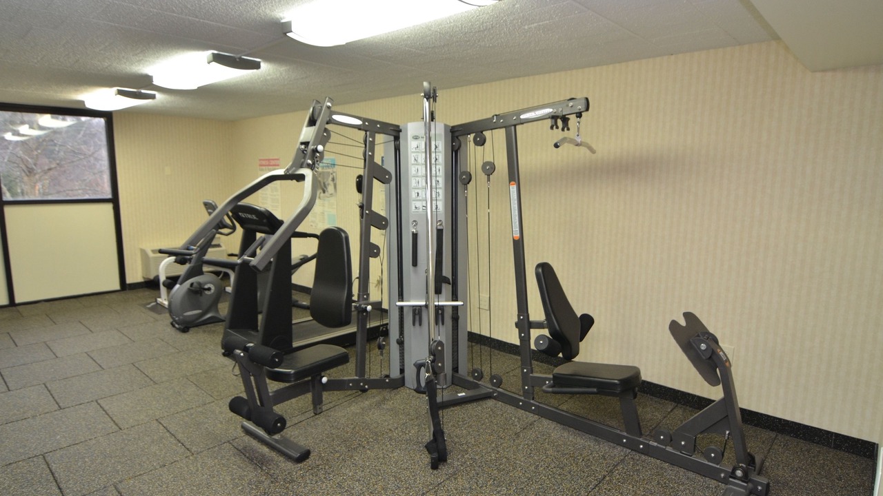 Photo of Others in White Haven