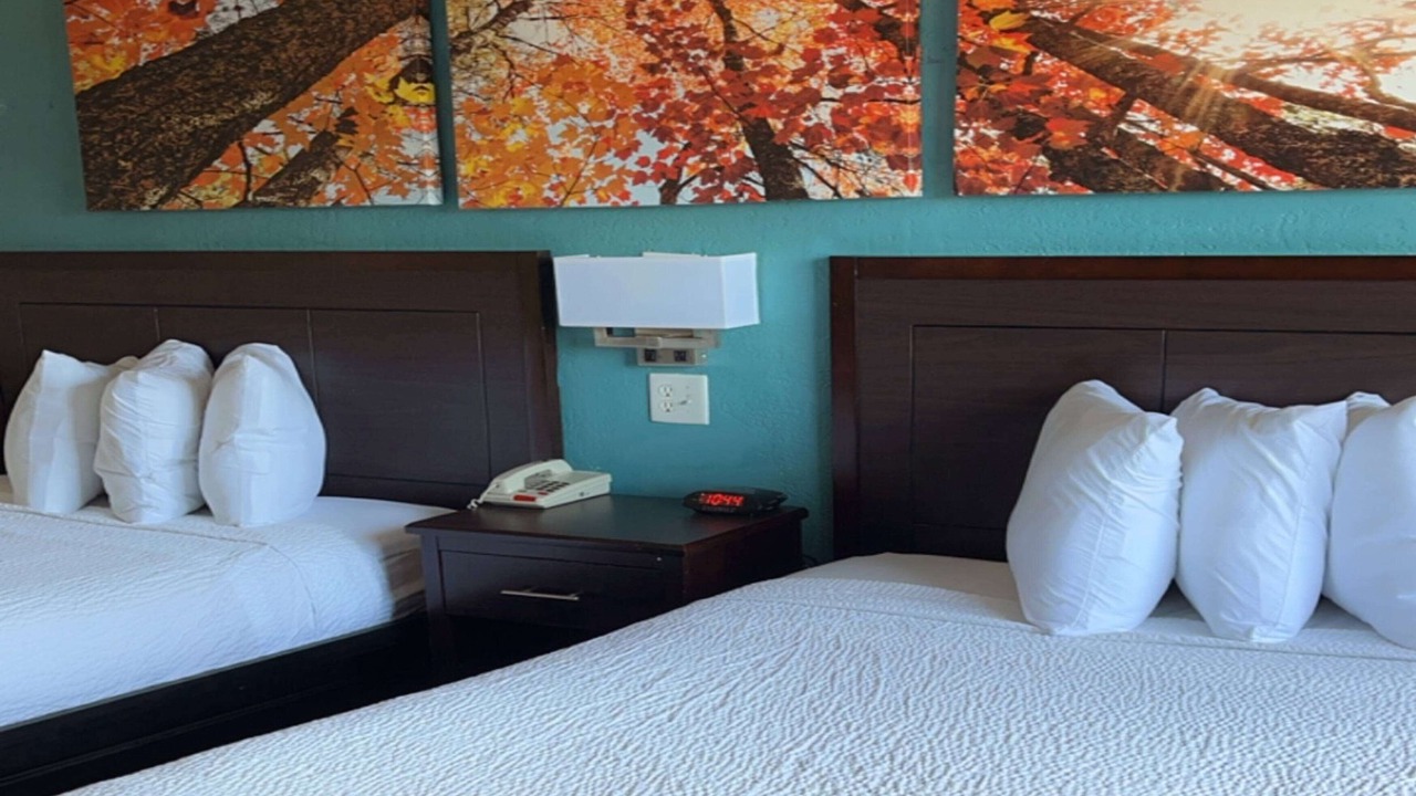 Photo of Bedroom in Springfield