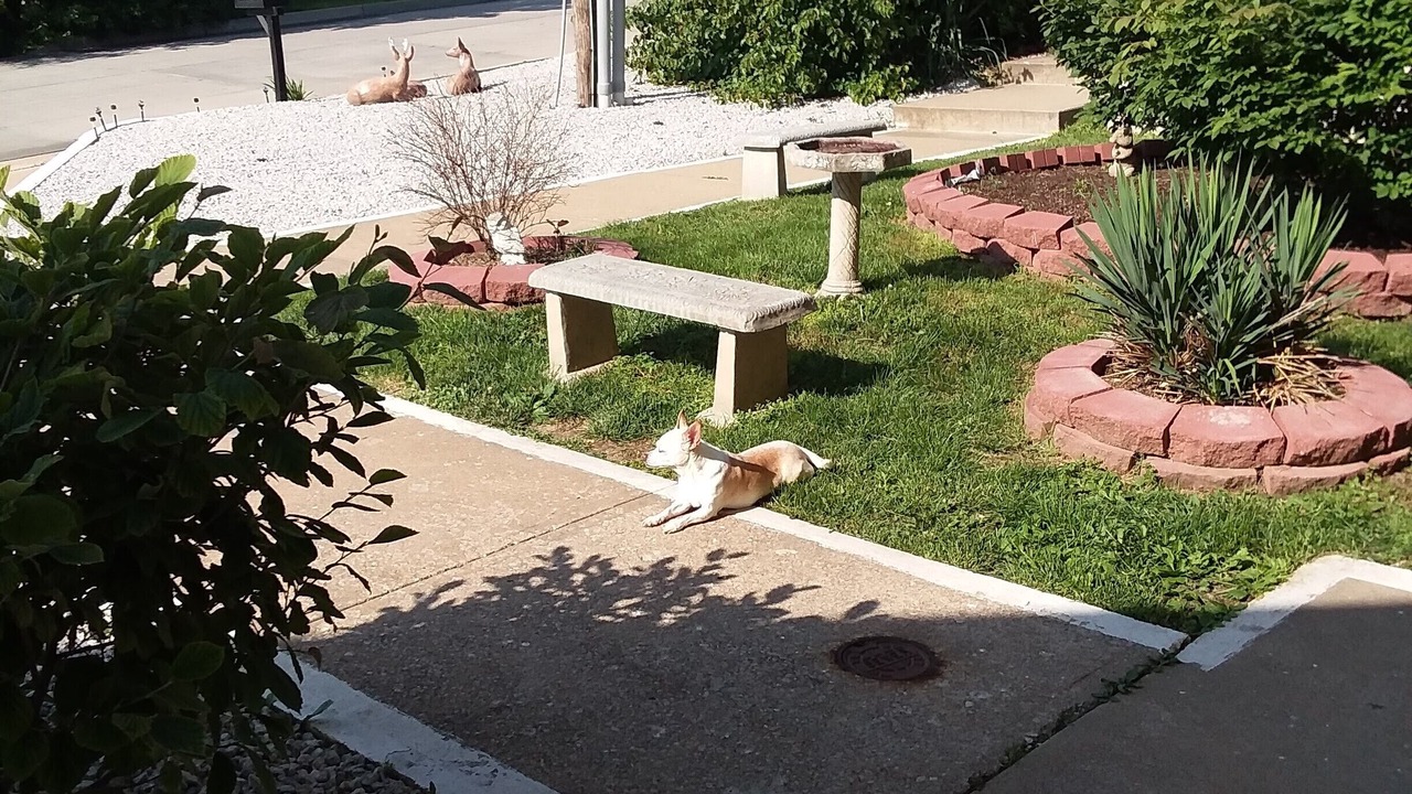 Photo of Outdoor in Boonville