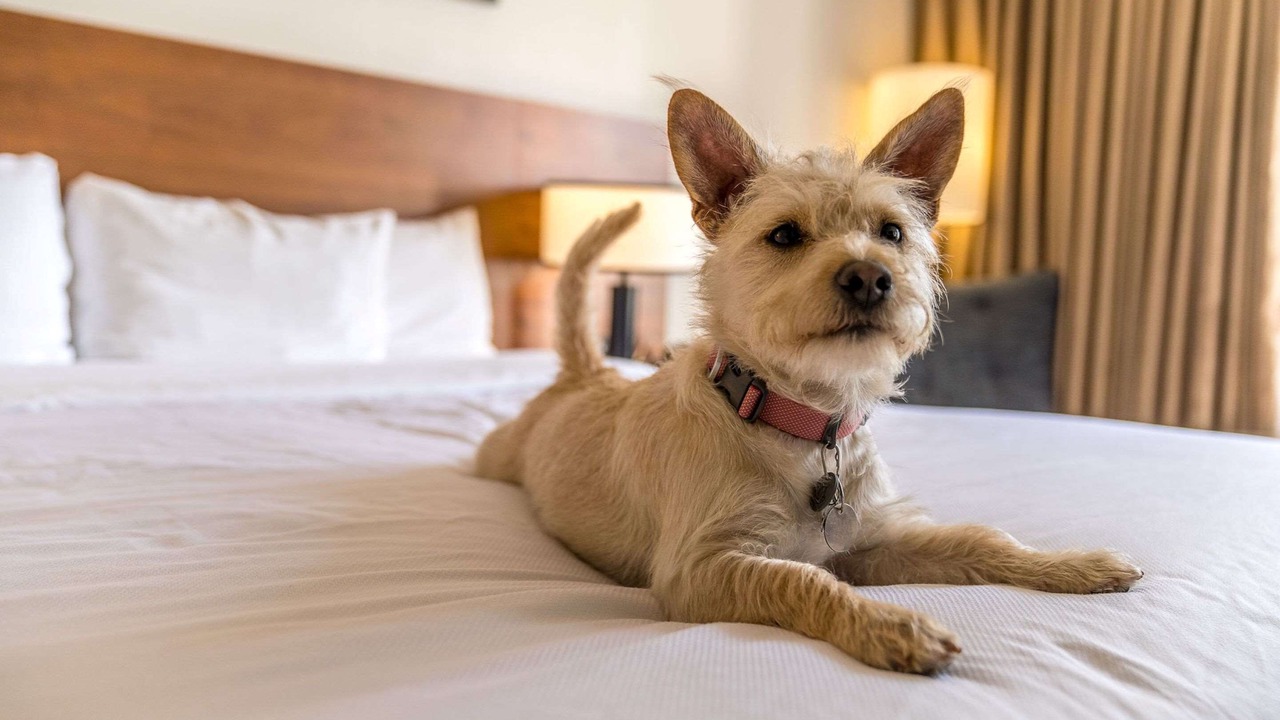 Photo of Others in Wilburton