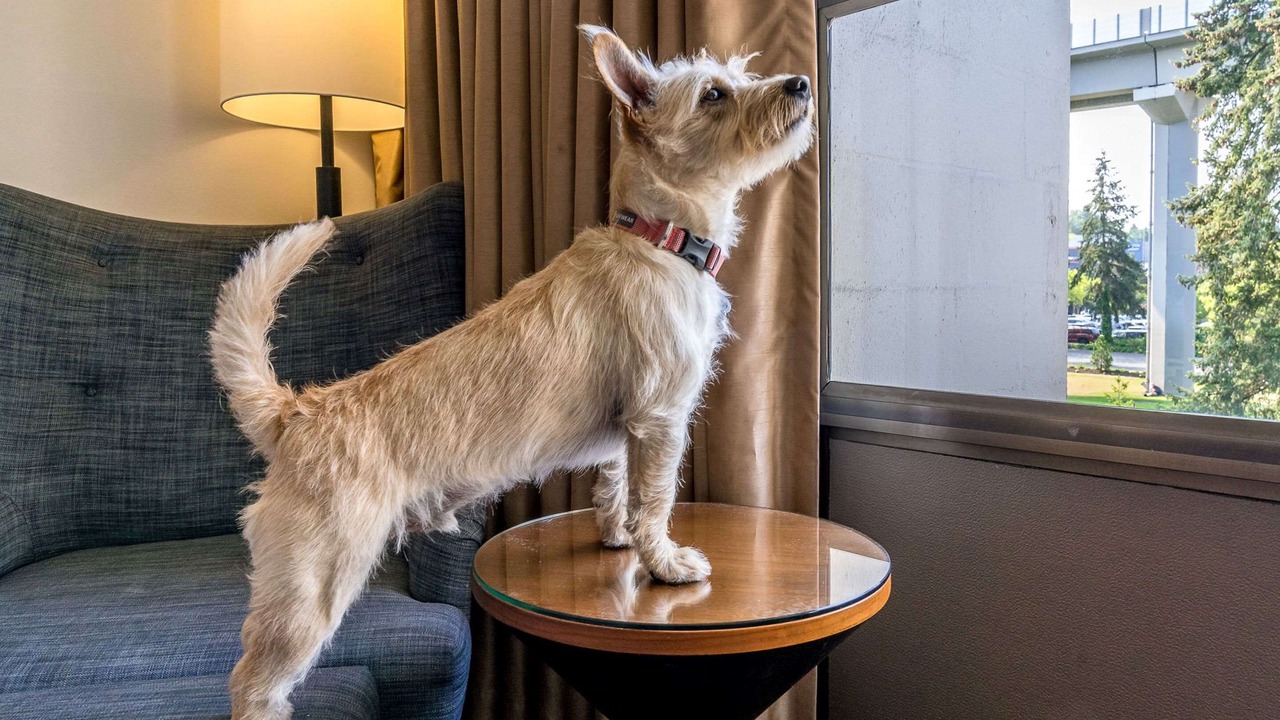 Photo of Others in Wilburton