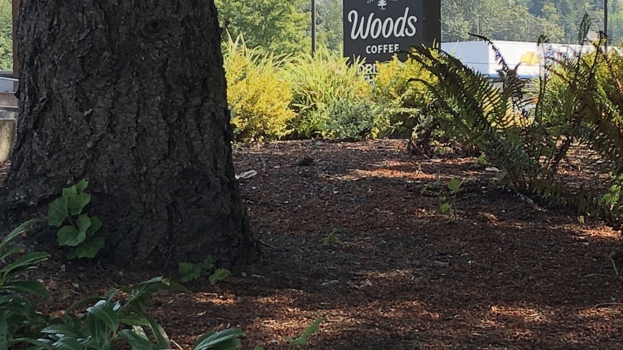 Photo of Outdoor in Wilburton