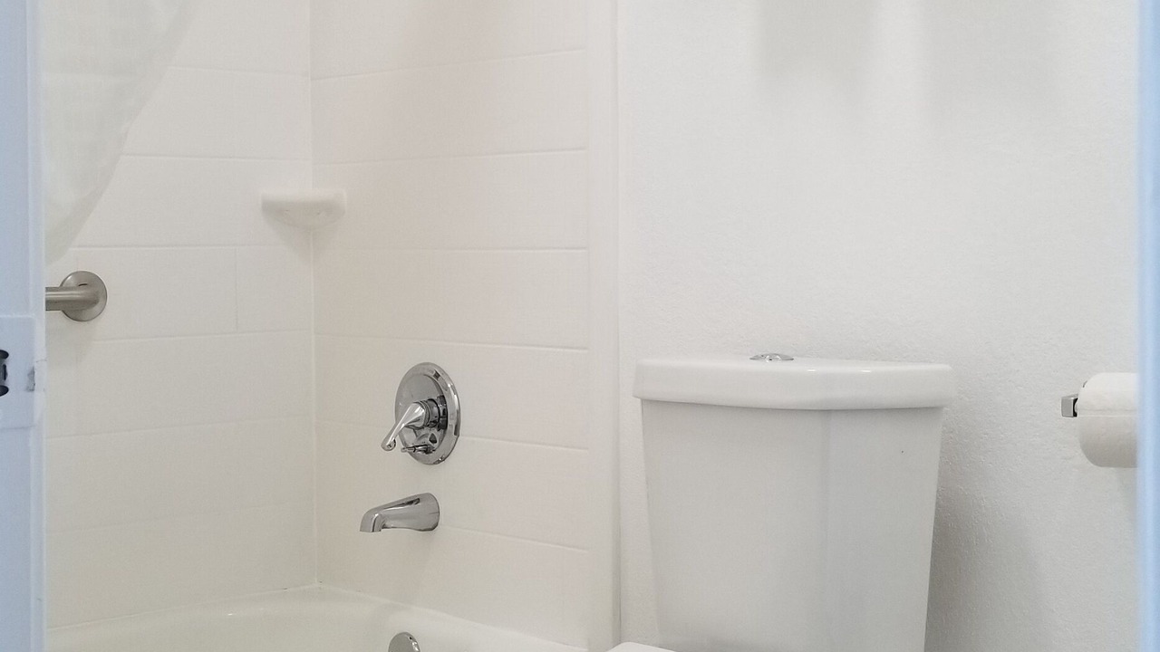 Photo of Others in Boaz