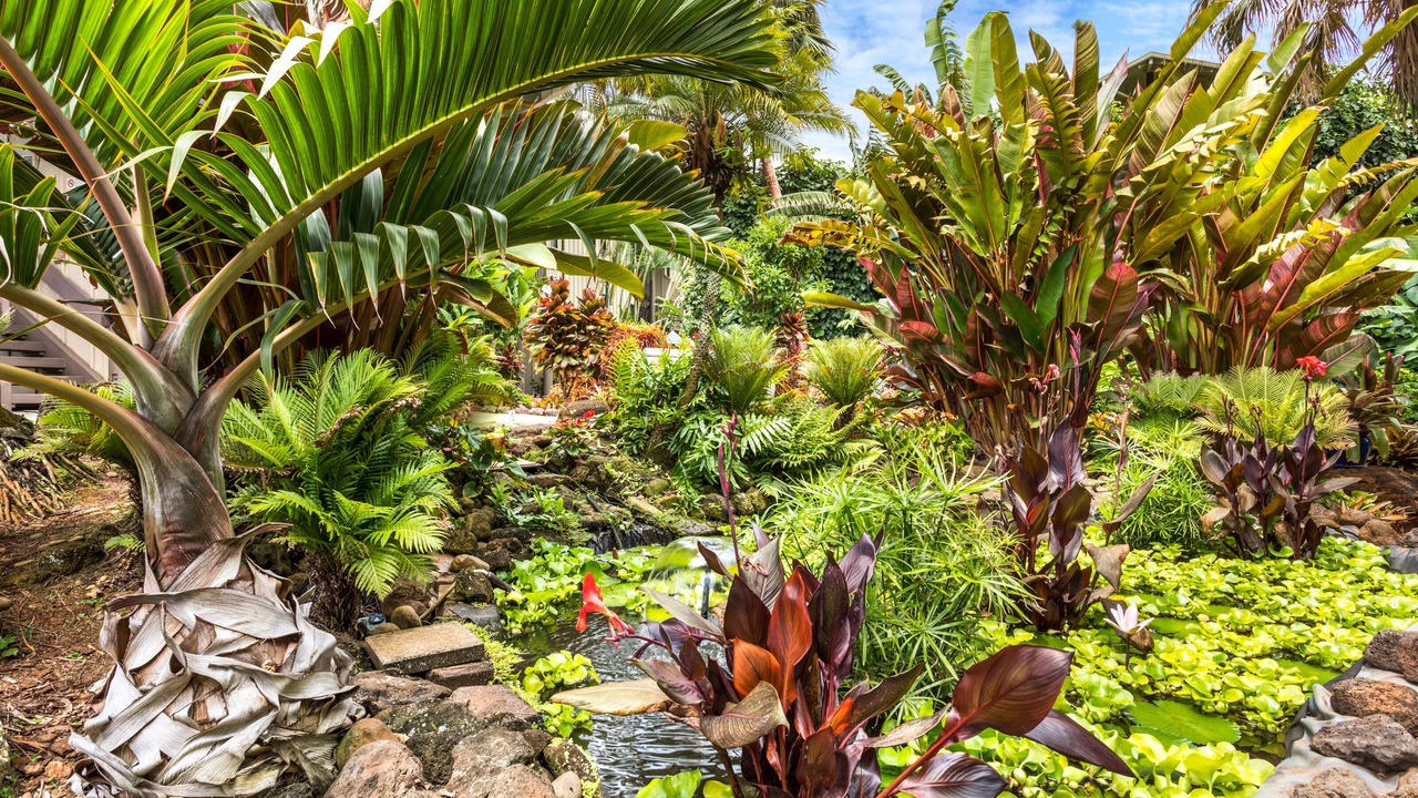 Photo of Outdoor in Wailua