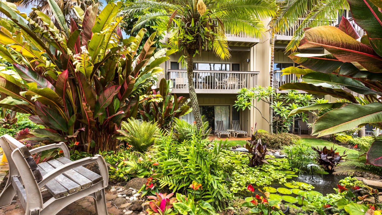 Photo of Outdoor in Wailua