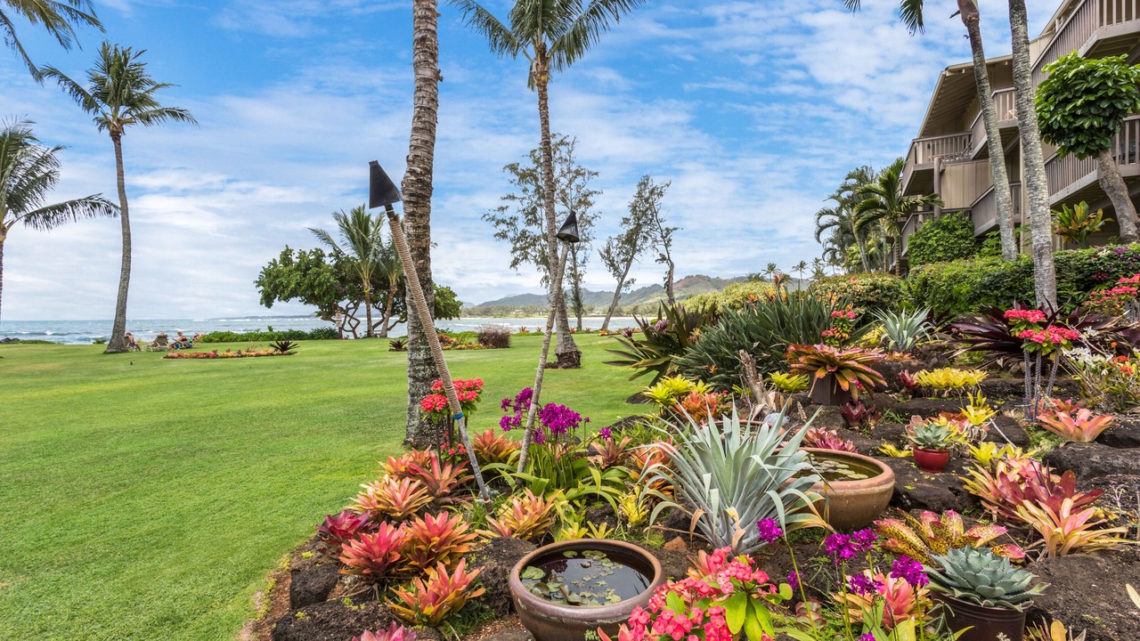 Photo of Outdoor in Wailua