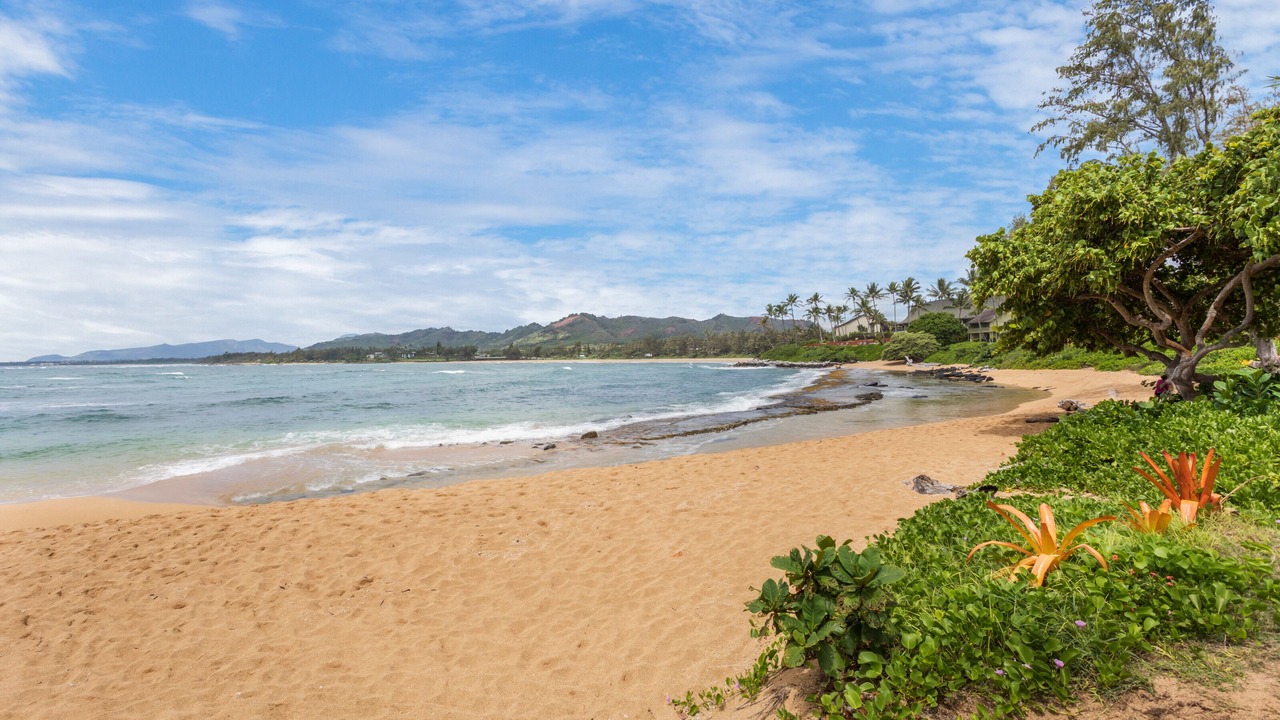 Photo of Others in Wailua