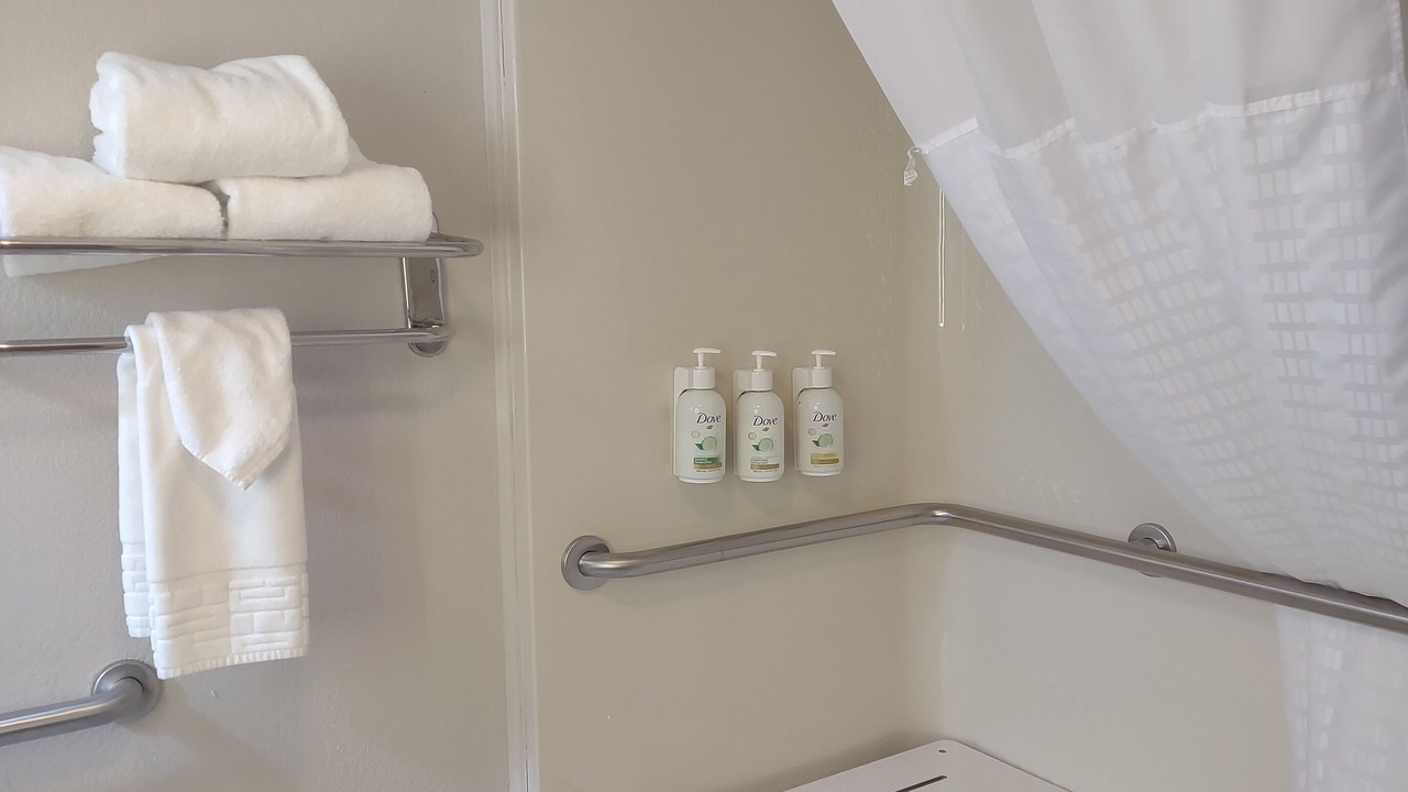 Photo of Bathroom in Flat Rock