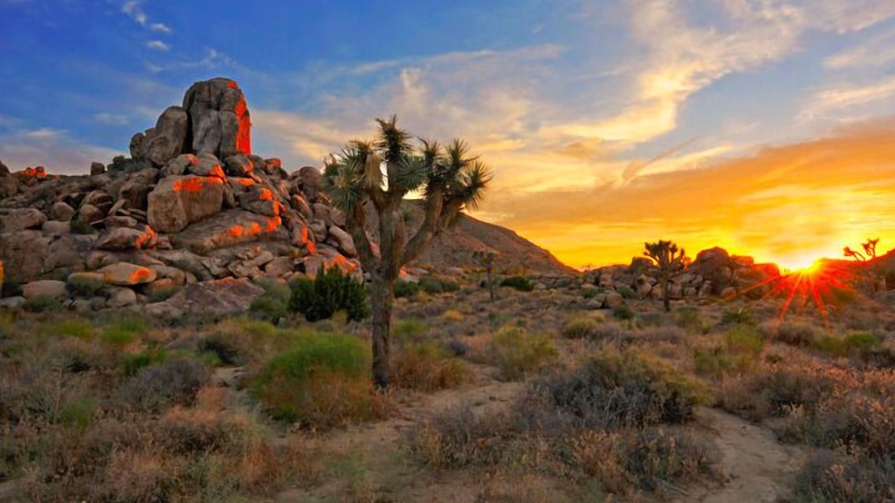 Photo of Outdoor in Barstow