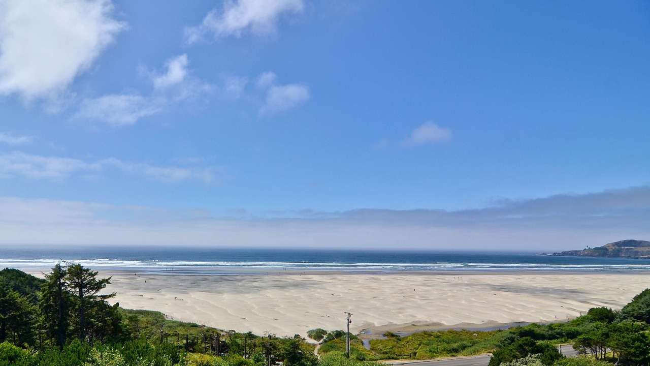 Photo of Others in Newport