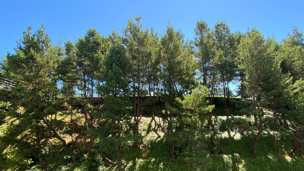 Photo of Bedroom in Newport