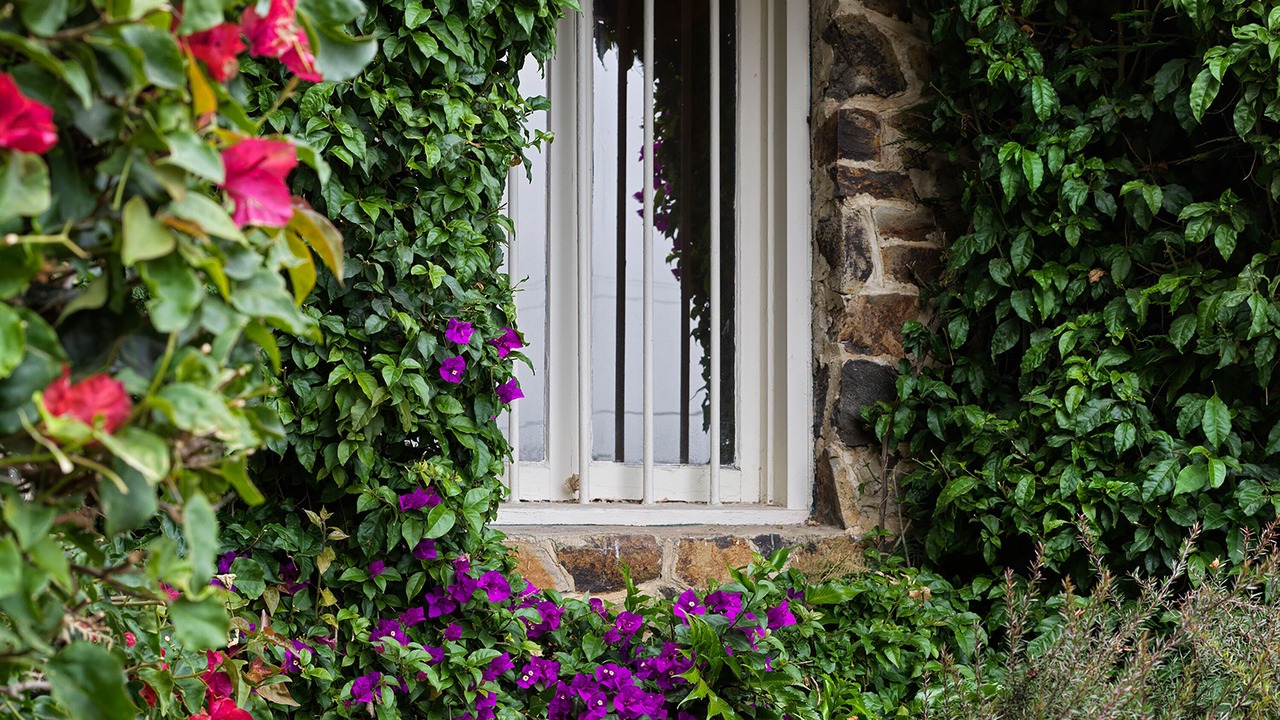 Photo of Outdoor in Golden Rectangle