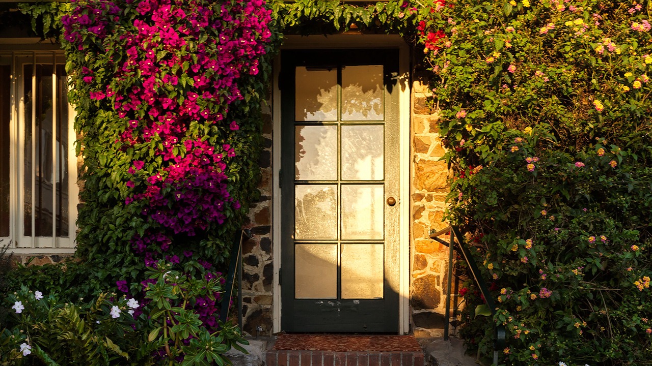 Photo of Outdoor in Golden Rectangle