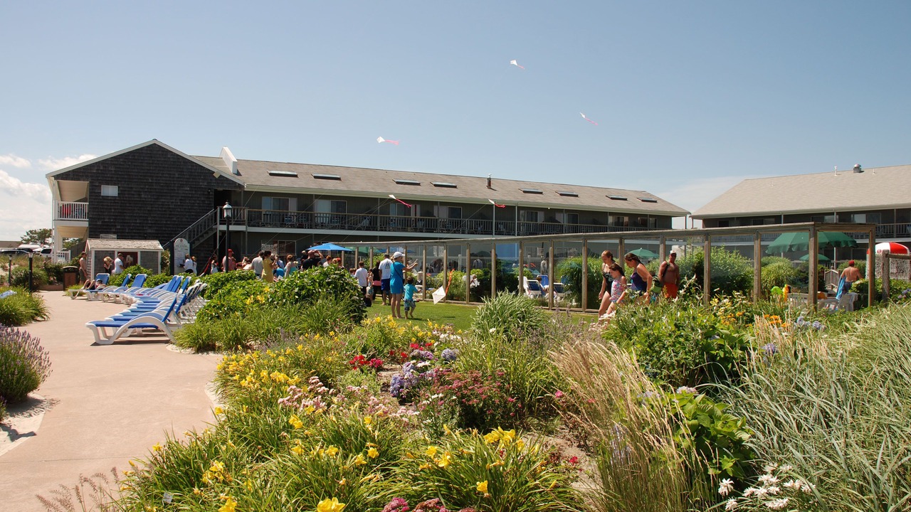 Photo of Outdoor in Bass River