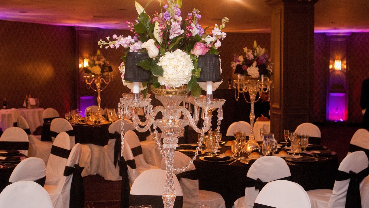 Photo of Others in Northwest Yonkers