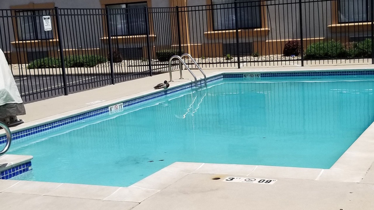 Photo of Outdoor in Bloomington