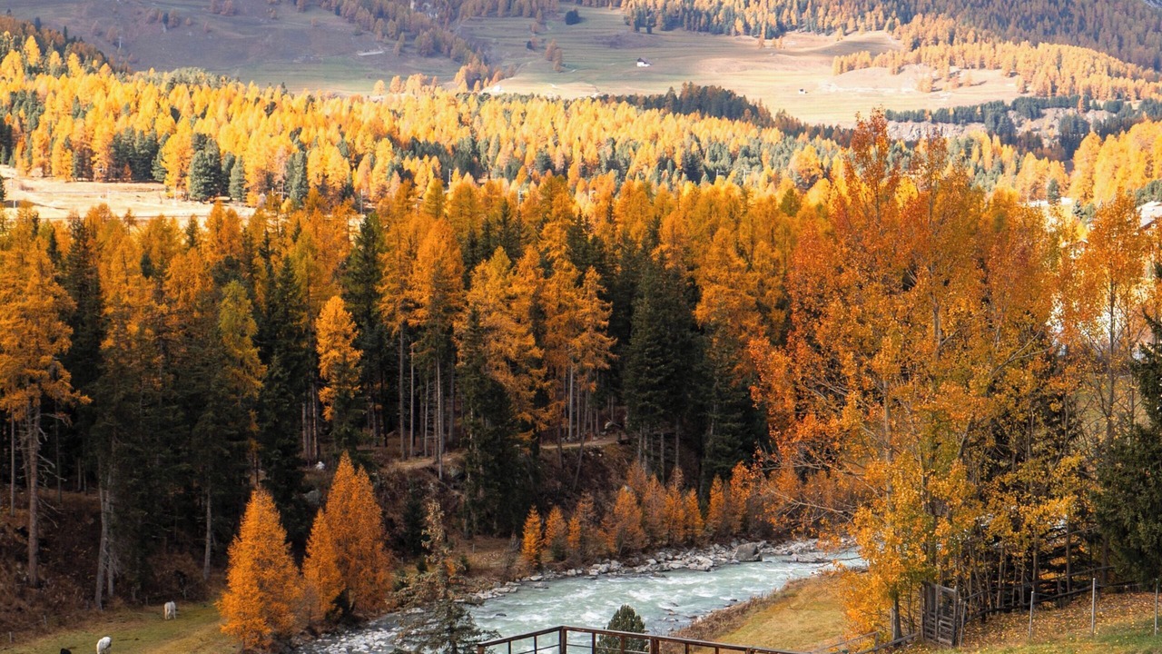 Photo of Others in Pontresina