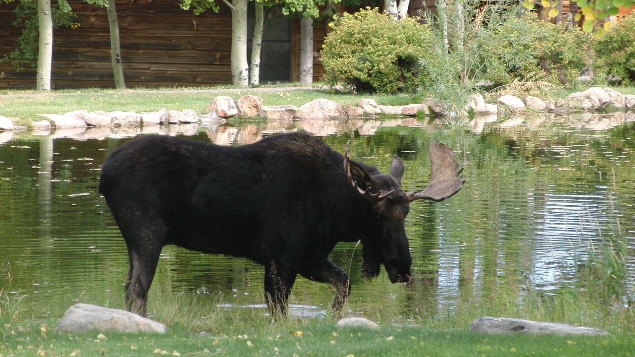 Photo of Others in Spring Creek Ranch