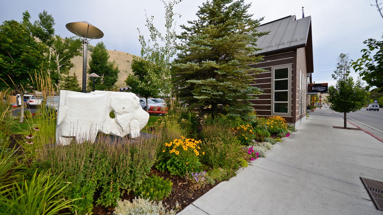 Photo of Outdoor in Jackson Hole