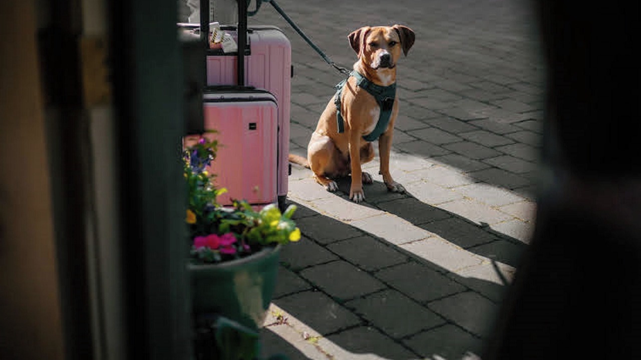 Photo of Others in Marina District