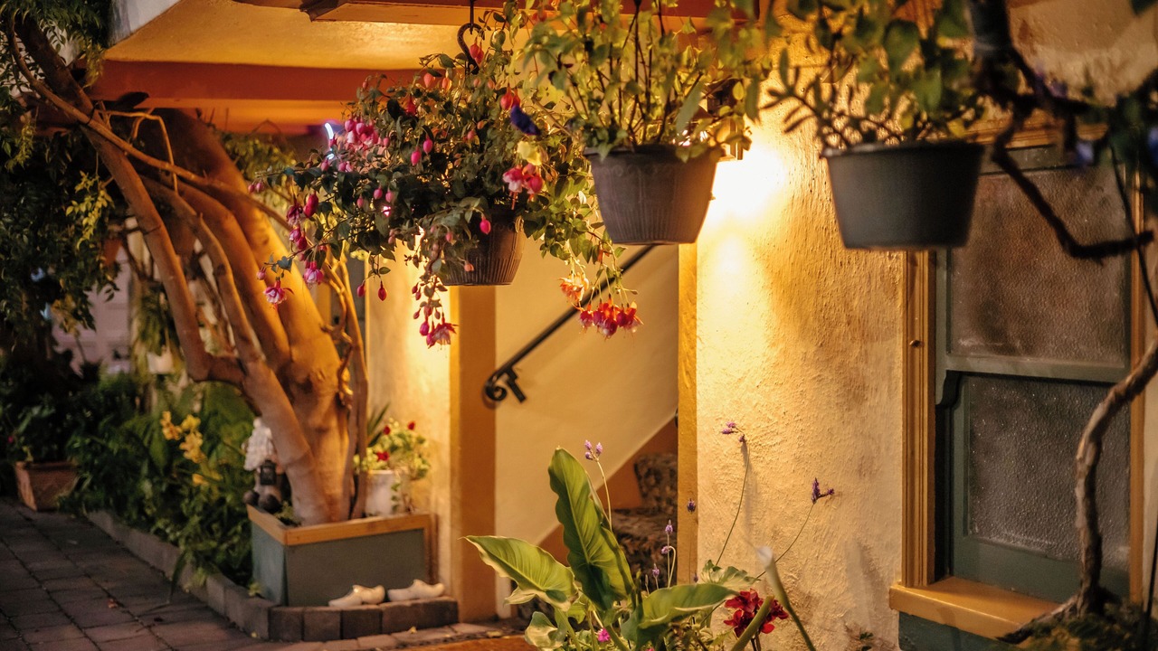 Photo of Outdoor in Marina District