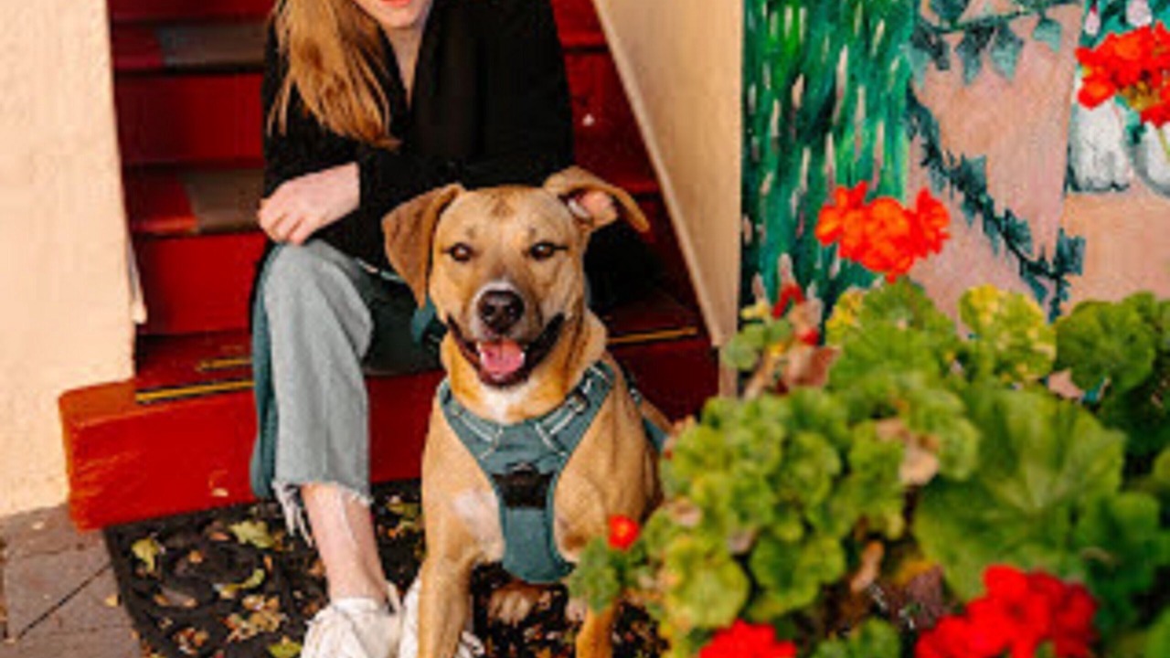 Photo of Others in Marina District