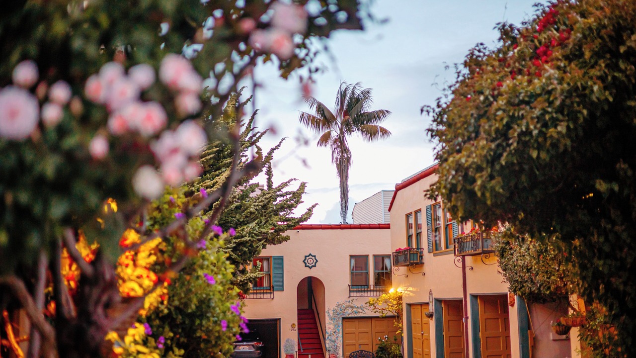 Photo of Outdoor in Marina District