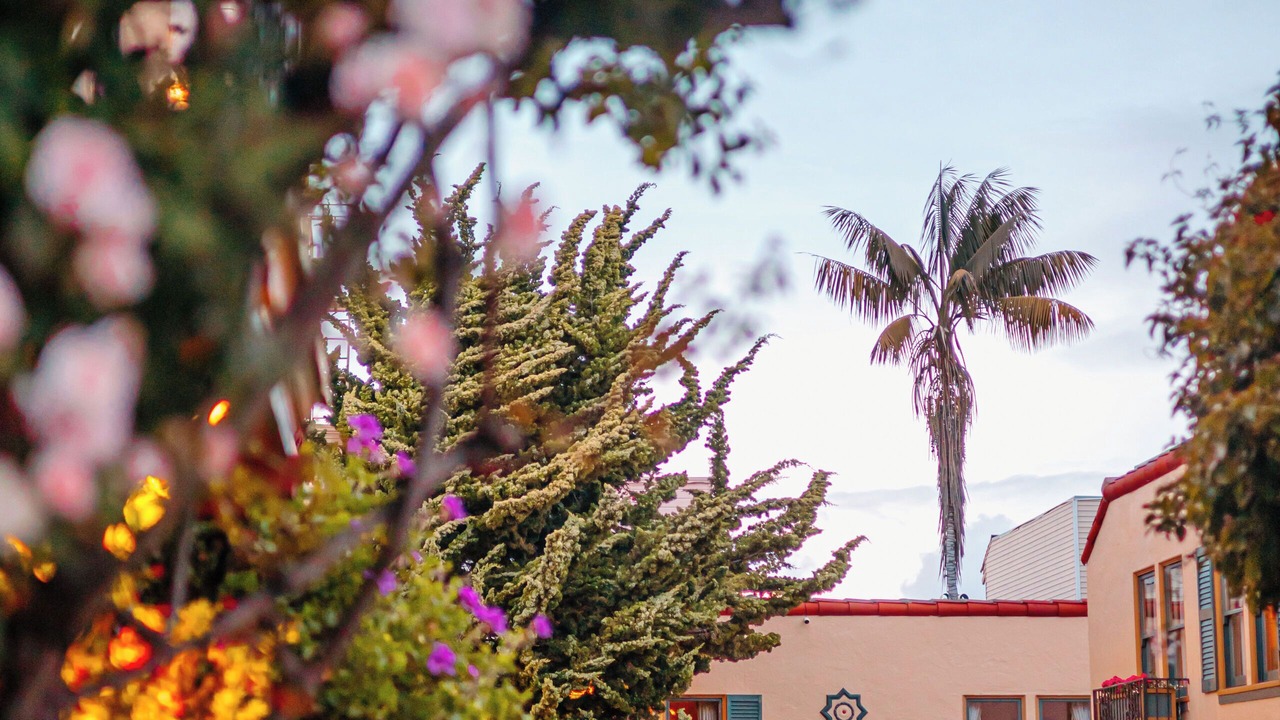 Photo of Outdoor in Marina District