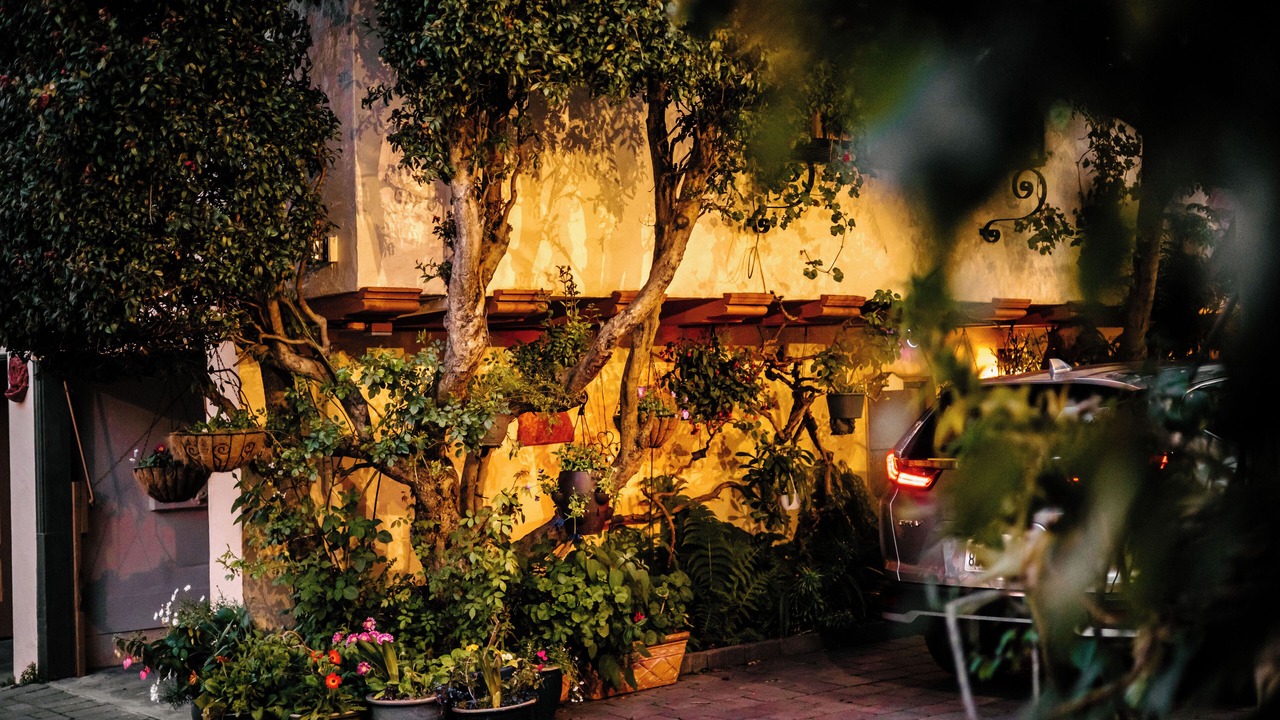 Photo of Outdoor in Marina District