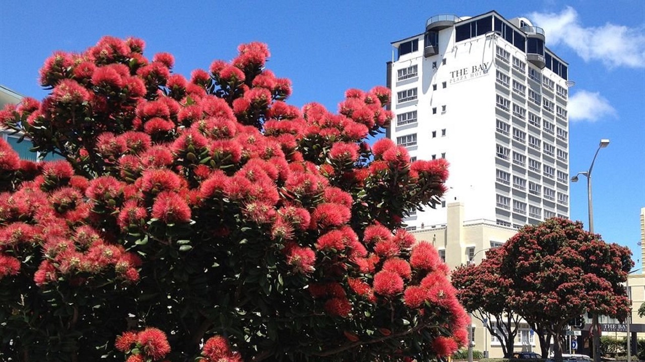 Photo of Outdoor in Oriental Bay