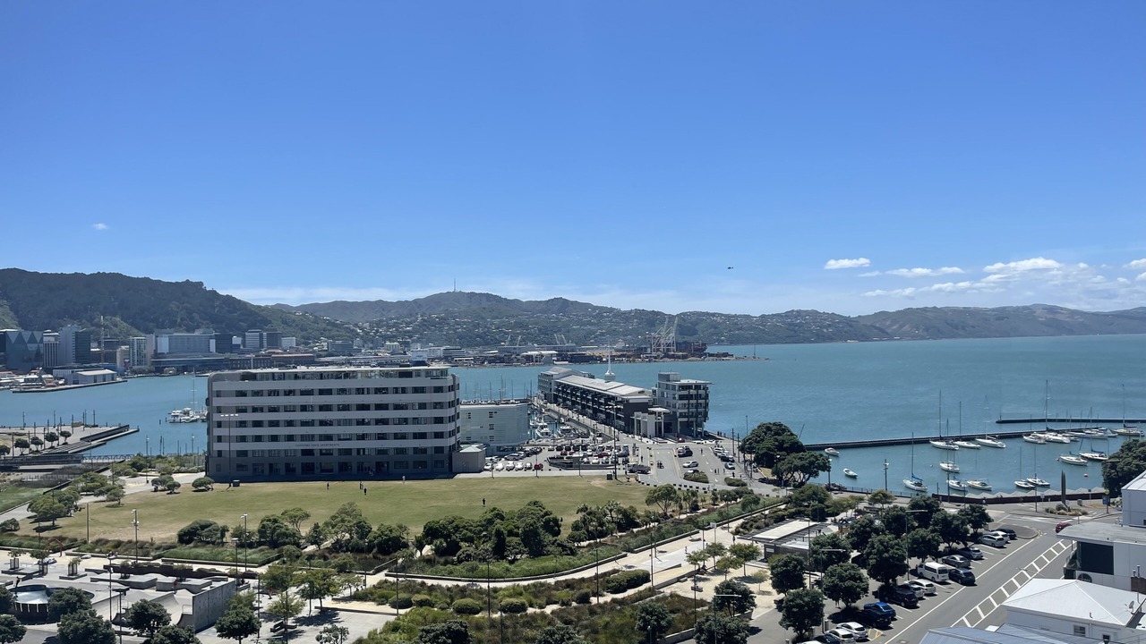 Photo of Outdoor in Oriental Bay