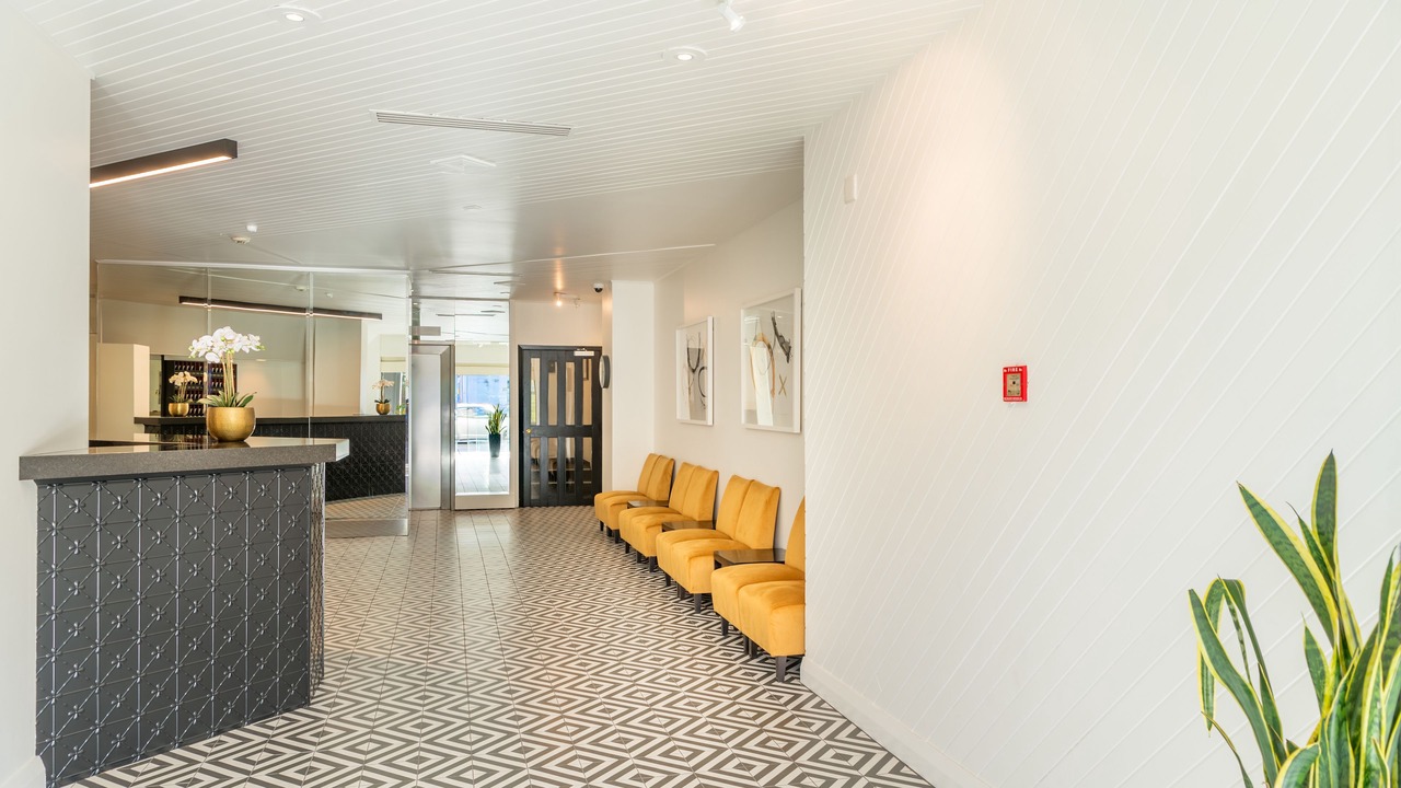 Photo of Others in Oriental Bay