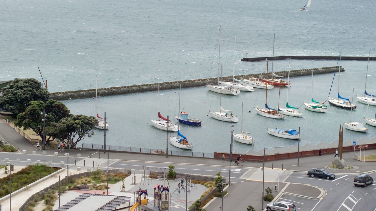Photo of Others in Oriental Bay