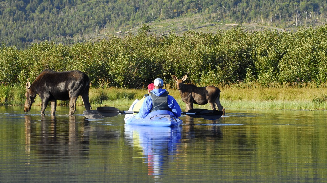 Photo of Others in Matane