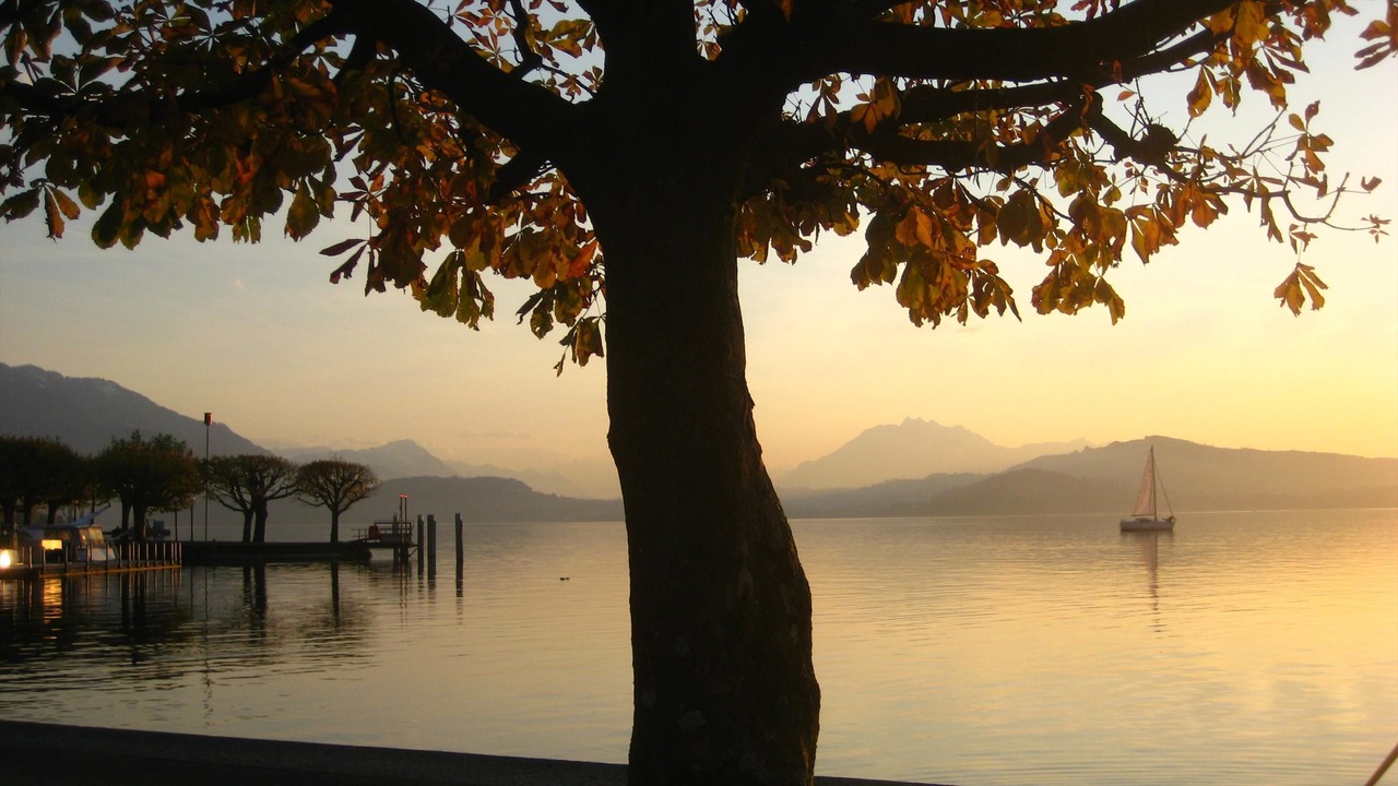 Photo of Outdoor in Zug