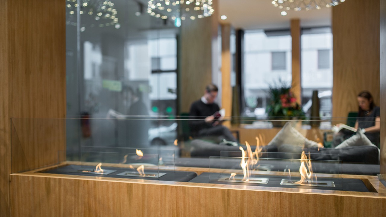 Photo of Others in Downtown Geneva