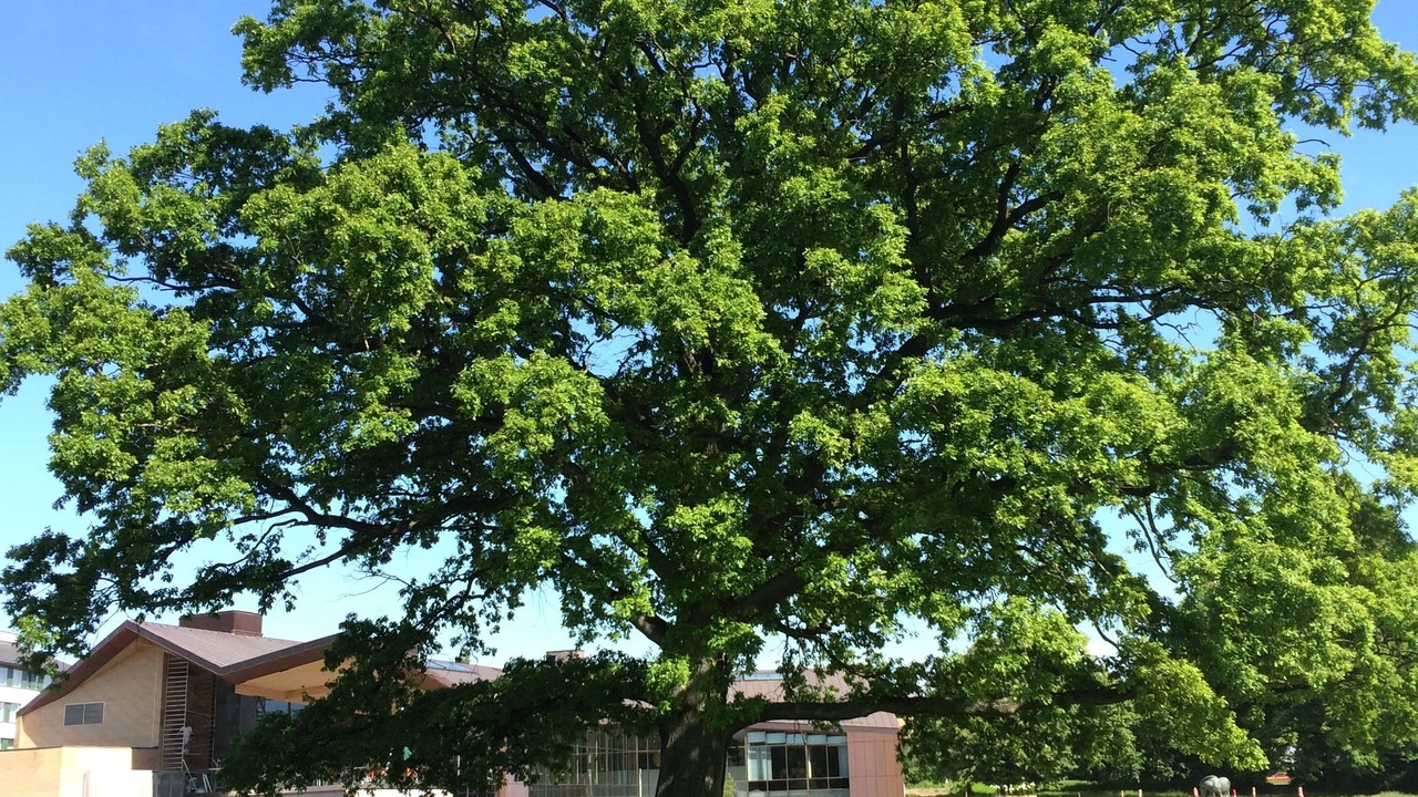 Photo of Outdoor in Glostrup